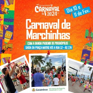 Carnaval Goianésia